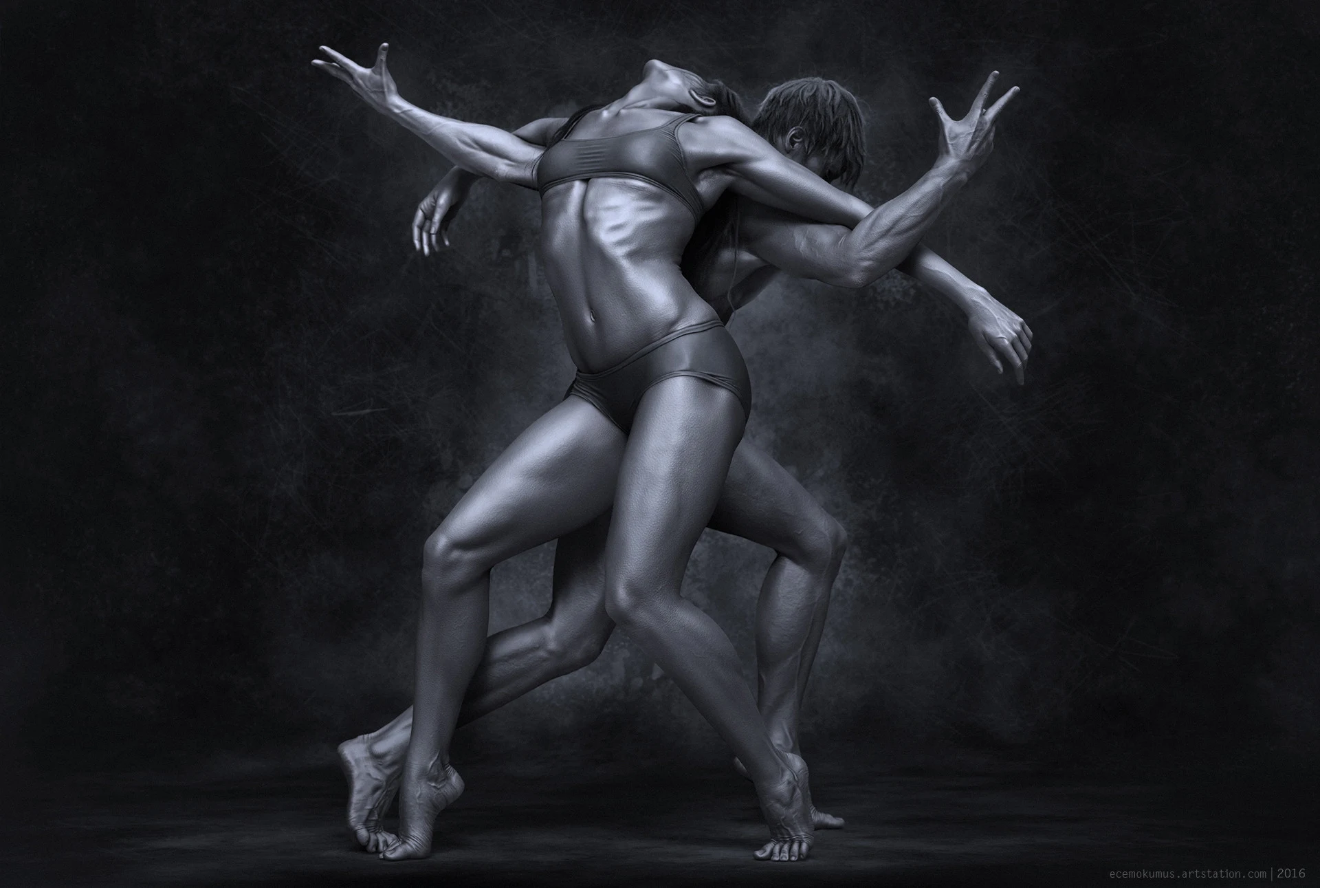 Anatomy Study