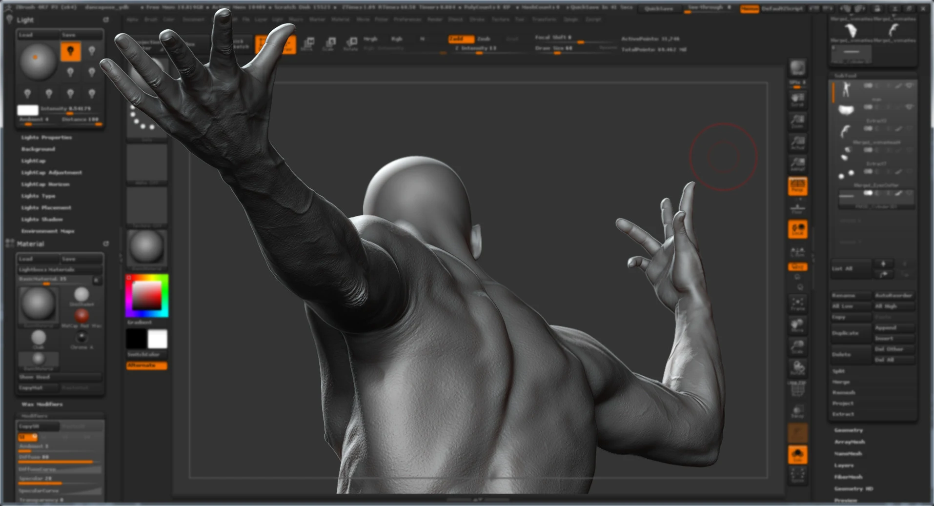 Anatomy Study — Work in progress