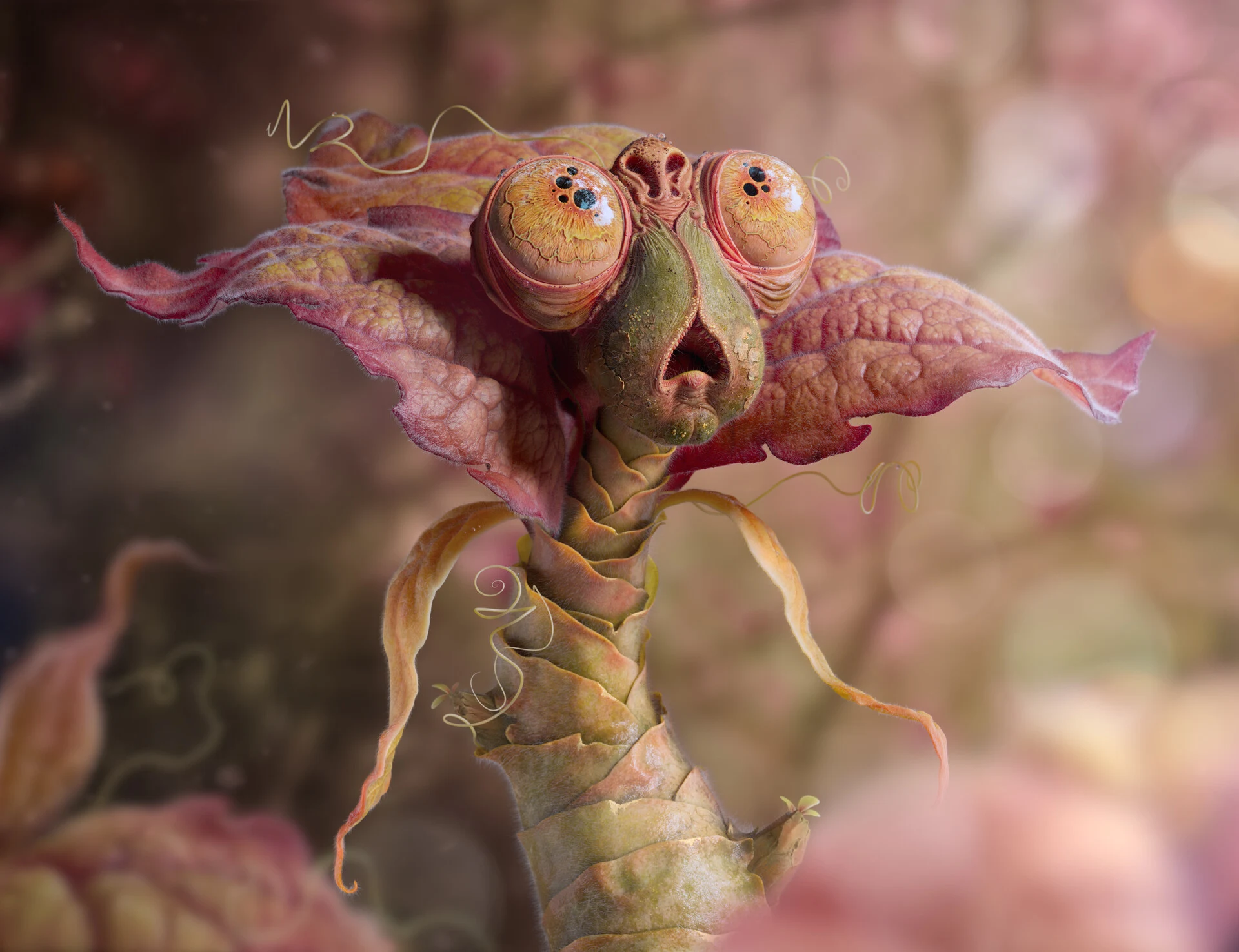 Bud